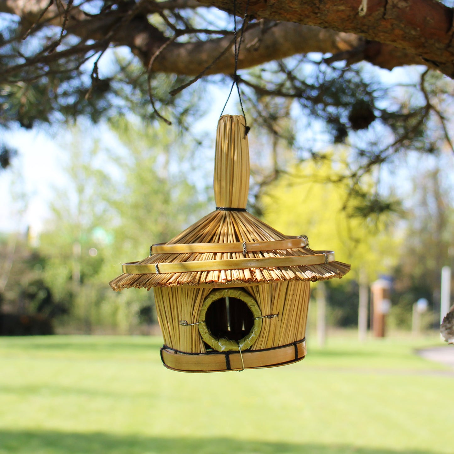 Seagrass Birdhouses